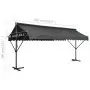 Tenda Parasole con Piedistallo 500x300 cm Antracite