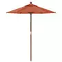 Ombrellone da Giardino con Palo in Legno Terracotta 196x231 cm