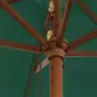 Ombrellone da Giardino con Palo in Legno Verde 299x240 cm