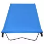 Lettino da Campeggio 180x60x19cm Tessuto Oxford e Acciaio Blu