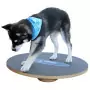 FitPAWS Tavola per Equilibrio 50 cm Nera