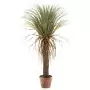 Emerald Yucca Selvatica Artificiale 110 cm in Vaso