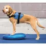 FitPAWS Disco per l'Allenamento dell'Equilibrio per Cani 36 cm Blu