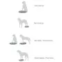 FitPAWS Disco per l'Allenamento dell'Equilibrio per Cani 36 cm Lampone