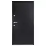 Porta Ingresso Antracite 100x200 cm in Alluminio