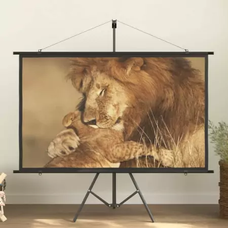 Schermo di Proiezione con Treppiedi 72" 16:9