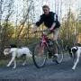 SPRINGER Kit Ginnico per Bicicletta per Cani