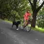 SPRINGER Kit Ginnico per Bicicletta per Cani