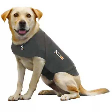 ThunderShirt Pettorina Anti Ansia per Cani S Grigia 2015