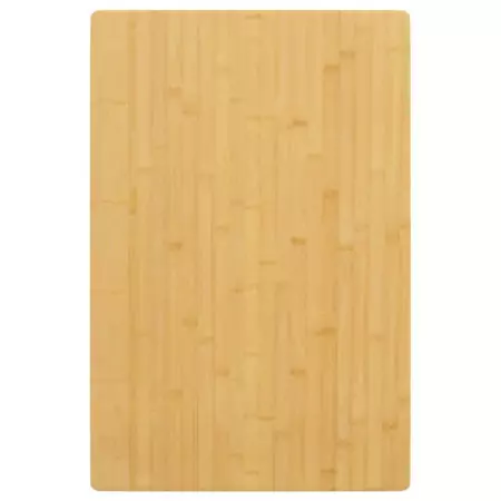 Piano del Tavolo 60x100x2,5 cm in Bambù