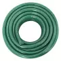 Tubo Flessibile da Giardino Verde 10 m PVC