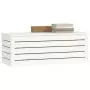 Contenitore Portaoggetti Bianco 89x36,5x33cm Massello di Pino