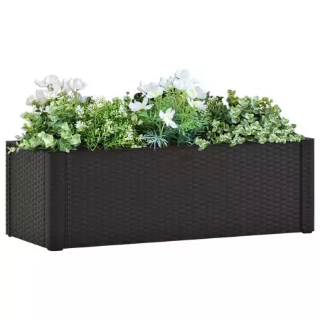 Letto Rialzato Giardino con Irrigazione Antracite 100x43x33 cm