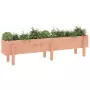 Fioriera Rialzata Giardino 160x30x38 cm Legno Massello Douglas