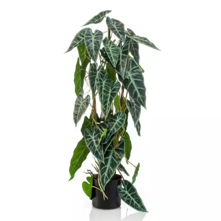 Emerald Alocasia Artificiale 75 cm in Vaso