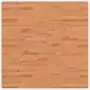 Piano per Tavolo 90x90x2,5 cm Quadrato Legno Massello di Faggio