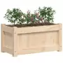 Fioriera da Giardino 60x31x31 cm in Legno Massello di Pino