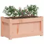 Fioriera da Giardino 60x31x31 cm in Legno Massello di Douglas