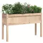 Fioriera Giardino con Gambe 110x31x70 cm Legno Massello Pino