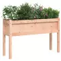 Fioriera Giardino con Gambe 110x31x70 cm Legno Massello Douglas