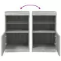 Credenza con Luci LED Grigio Sonoma 41x37x67 cm