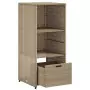 Armadietto Portaoggetti Giardino Beige 50x55x115cm Polyrattan