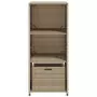 Armadietto Portaoggetti Giardino Beige 50x55x115cm Polyrattan