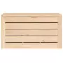 Contenitore Portaoggetti 59,5x36,5x33 cm Legno Massello Pino