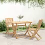 Tavolo da Giardino Pieghevole 120x70x75cm Legno Massello Acacia