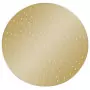 Testa Doccia a Pioggia in Acciaio Inox 50 cm Rotonda Oro