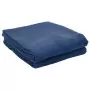 Tappeto da Campeggio Blu 4,5x2,5 m