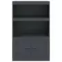 Credenza Antracite 67x39x107 cm in Acciaio