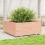 Fioriera da Giardino 110x110x49,5 cm Legno Massello di Douglas