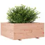 Fioriera da Giardino 110x110x49,5 cm Legno Massello di Douglas