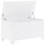 Contenitore con Coperchio RANA Bianco 100x49x54cm Massello Pino