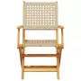 Sedie Giardino Pieghevoli 4pz Beige Polyrattan e Legno Massello