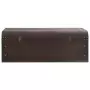 Scrigno Tesoro Chiusure Marrone Scuro 110x50x39,5cm Compensato