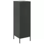 Credenza Nera 36x39x113 cm in Acciaio