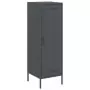 Credenza Antracite 36x39x113 cm in Acciaio