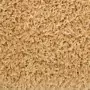 Tappetini per Scale 10 pz 65x25 cm Beige