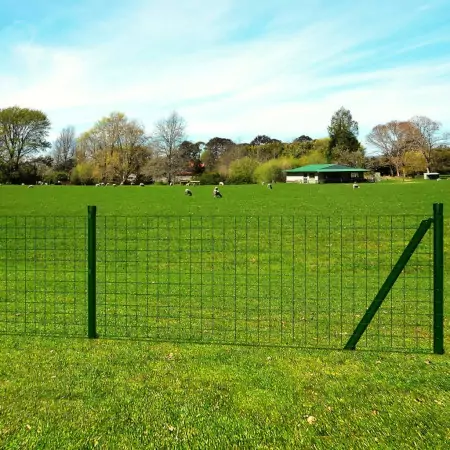 Recinzione Europea in Acciaio 10 x 0,8 m Verde