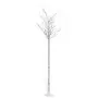 Albero Natale 200 LED 2,2m Salice Colorato Interno Esterno