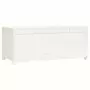 Contenitore Portaoggetti Bianco 110x50x45,5cm Massello di Pino