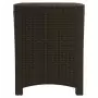 Baule da Giardino 39x39x46 cm Marrone in Rattan PP