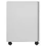 Schedario Mobile Grigio Chiaro 30x45x59 cm in Acciaio