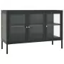 Credenza Antracite 105x35x70 cm in Acciaio e Vetro