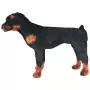 Rottweiler di Peluche Giocattolo Nero e Marrone XXL