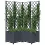 Fioriera da Giardino con Graticcio Grigio Scuro 80x80x136 cm PP