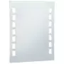 Specchio da Parete a LED per Bagno 50x60 cm