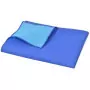 Coperta da Picnic Blu e Celeste 100x150 cm